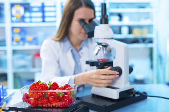 food-technology-training.jpg