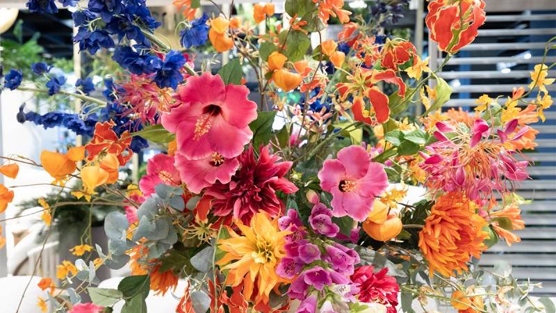 2026年德國科隆國際體育用品、露營設備及花園生活展覽會：盛會開啟