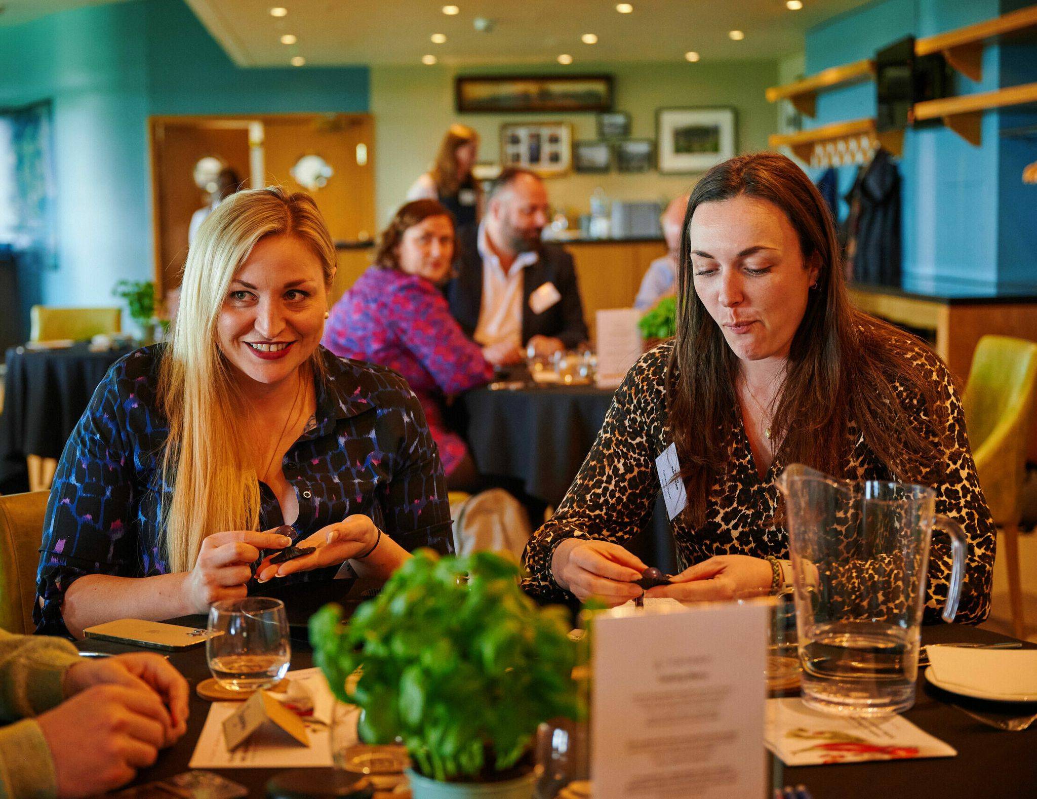 ֹӪʳƷչ᣺Food Matters Live Dublin 2025