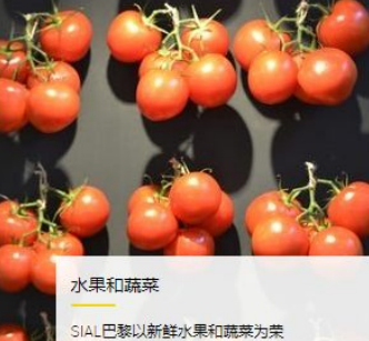 法國(guó)食品展.png