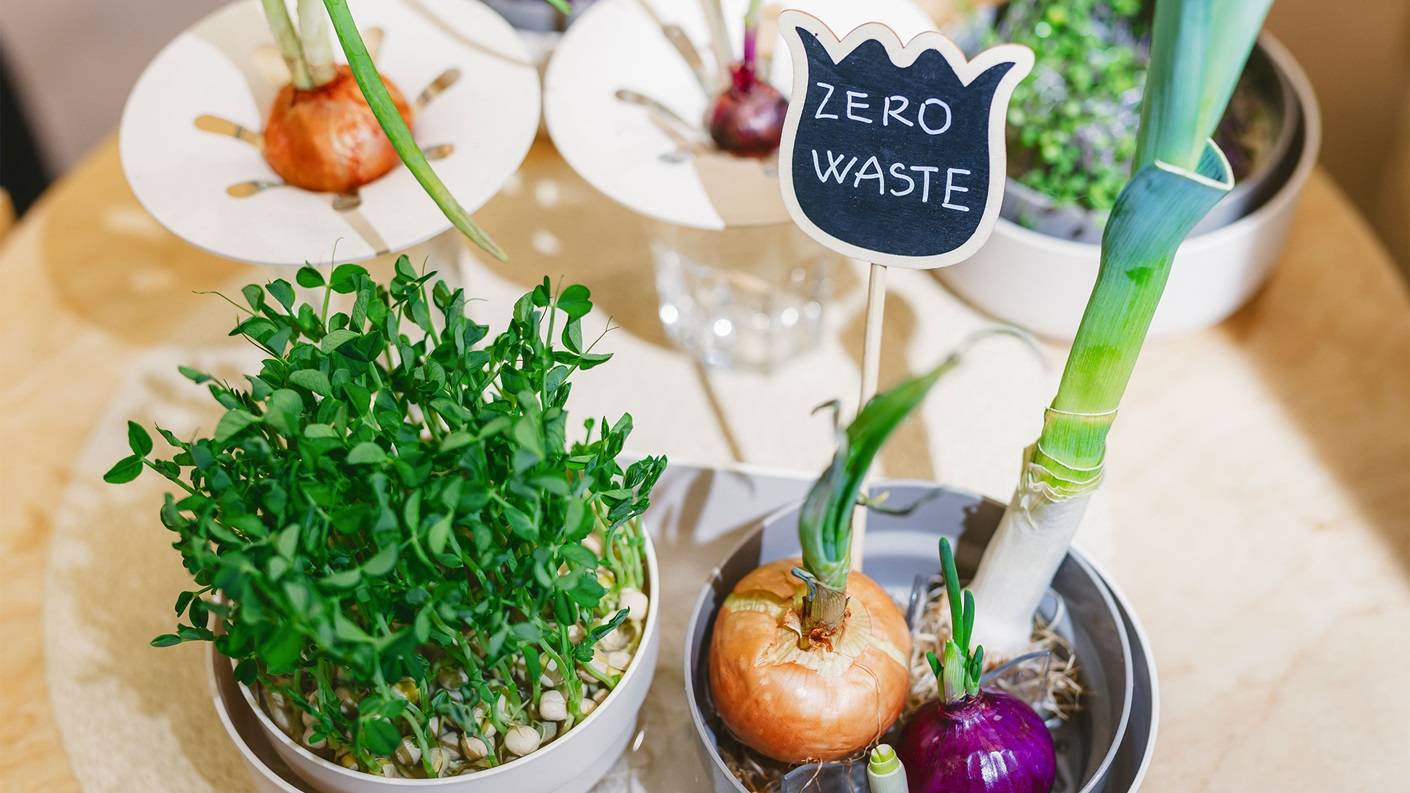 b5f3689e7b759a0f6f1c437dbfca10a2_biofach-n-imageslider-gemuese-mit-schild-zero-waste_w=1410&rev=ac01e884310d40c2b5594c33e882ea1a&hash=8CCCE5ED02392D00EDD2C307C3B9E817.jpg