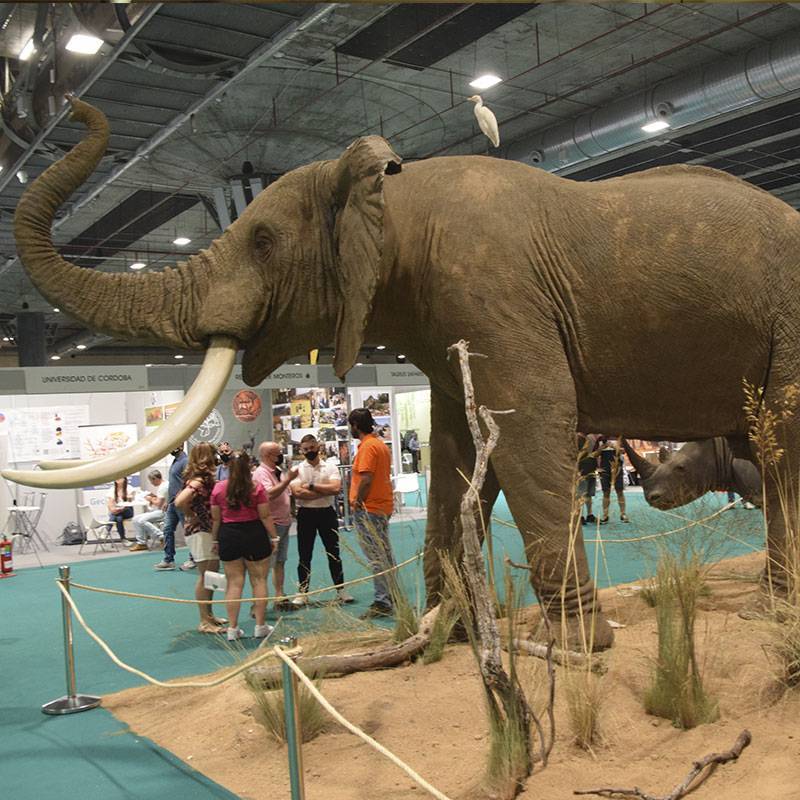 2026年西班牙馬德里國際狩獵及垂釣展覽會即將揭幕