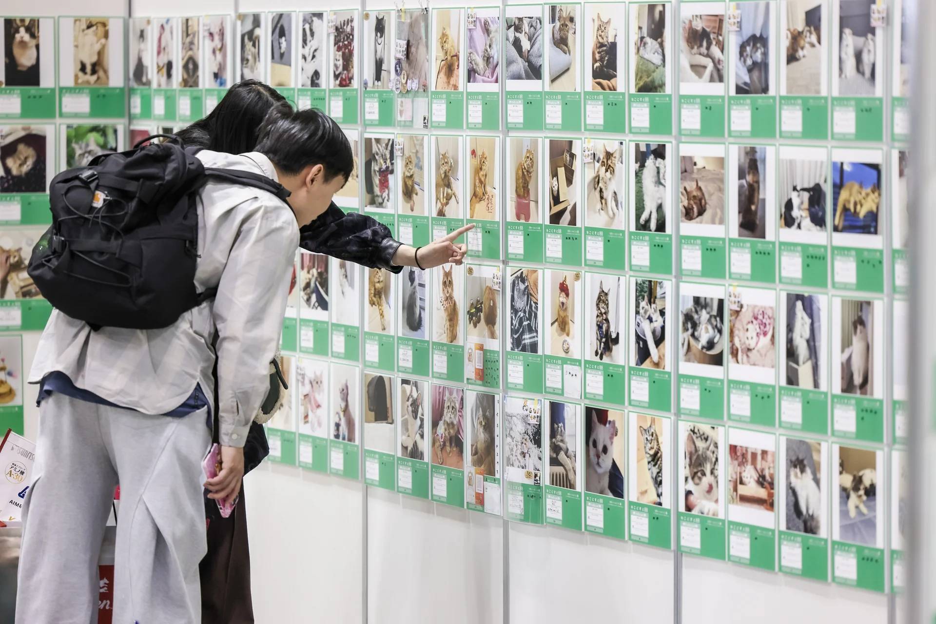 日本東京國(guó)際寵物用品展覽會(huì)Interpets 2025人與寵物豐富生活的盛會(huì)