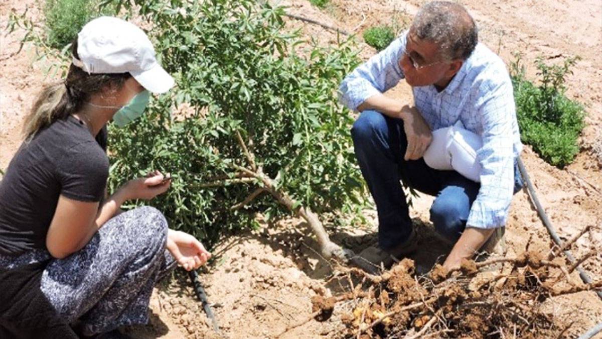 ӡżӴũҵ豸չINAGRITECH 2025