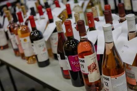 格魯吉亞第比利斯國(guó)際葡萄酒和烈酒展覽會(huì) WINEXPO GEORGIA 2025強(qiáng)勢(shì)回歸