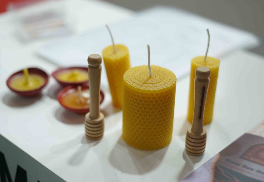 лũҵչ˳СӡŵվBiofach India 2025