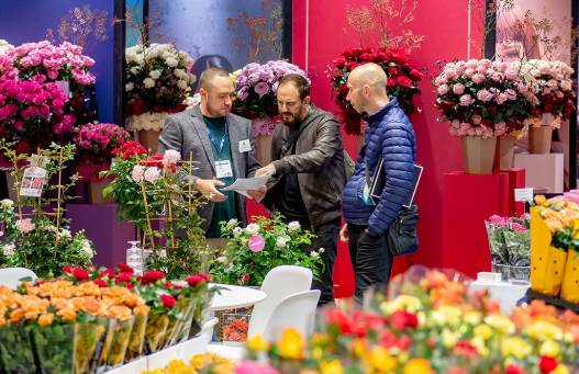 2025年國際花卉貿(mào)易展，荷蘭阿姆斯特丹指南詳解