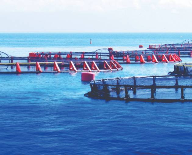 ŵڹˮֳչ AquaFarm 2026