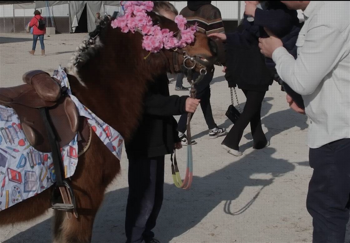 άƥչ Cheval Passion 202640