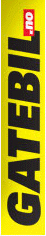 挪威利尼史特朗定制車展logo