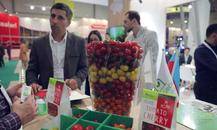 阿塞拜疆巴库国际食品及加工展览会INTERFOOD AZERBAIJAN