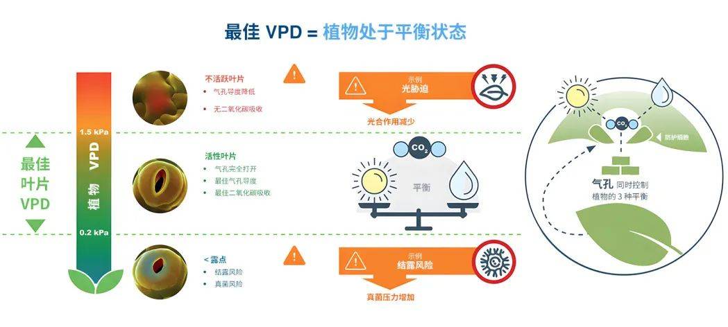 與全球頂尖農(nóng)業(yè)科技對(duì)話:深莓智能亮相2025年世界頂級(jí)GreenTech展會(huì) 與全球頂尖農(nóng)業(yè)科技對(duì)話:深莓智能亮相2025年世界頂級(jí)GreenTech展會(huì)