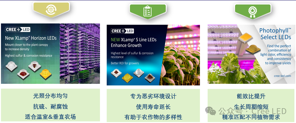 Cree LED相聚2025年荷蘭阿姆斯特丹國際園藝設(shè)施與技術(shù)展GreenTech展覽會 探索植物綠色照明 Cree LED相聚2025年荷蘭阿姆斯特丹國際園藝設(shè)施與技術(shù)展GreenTech展覽會 探索植物綠色照明