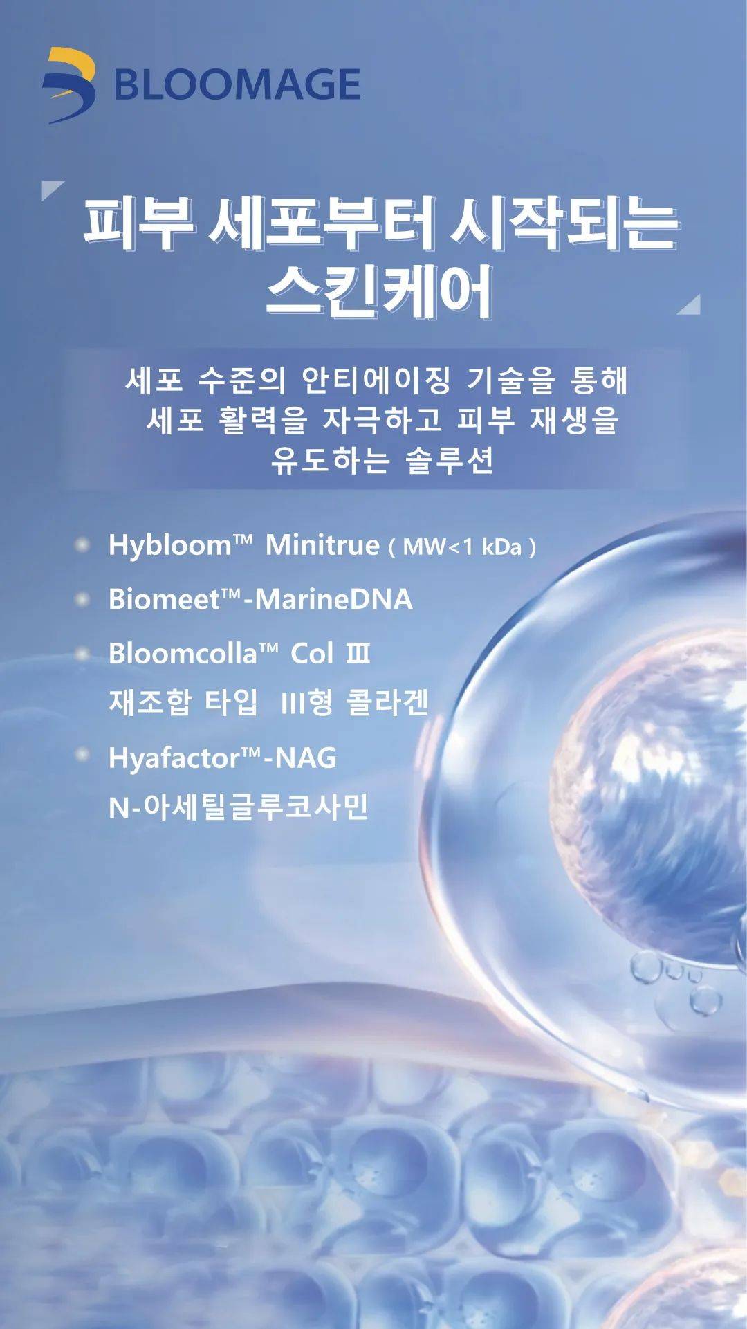 讓美麗鏈接世界 | 華熙生物Bioactive期待與您相約2025 in-cosmetics Korea 讓美麗鏈接世界 | 華熙生物Bioactive期待與您相約2025 in-cosmetics Korea