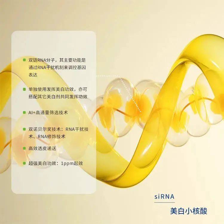中科光谷與您相約韓國首爾化妝品展 in-cosmetics Korea 2025 中科光谷與您相約韓國首爾化妝品展 in-cosmetics Korea 2025