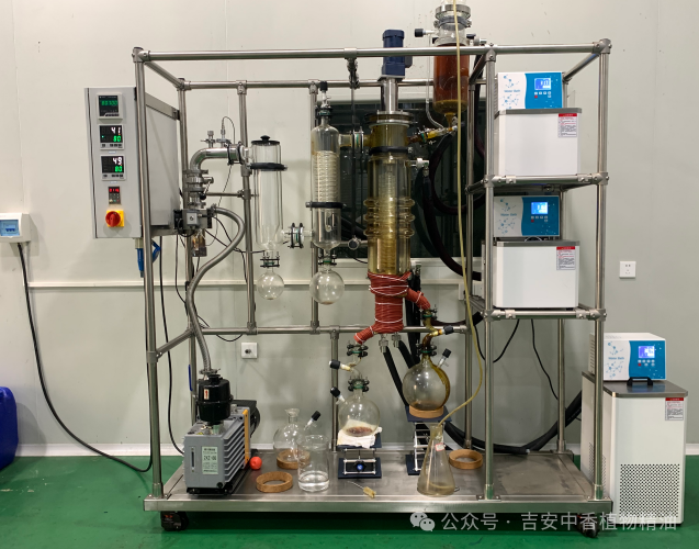 吉安中香植物精油誠邀蒞臨 2025 年馬來西亞CPHI展覽會 —— 共探天然植物提取物合作新機遇 吉安中香植物精油誠邀蒞臨 2025 年馬來西亞CPHI展覽會 —— 共探天然植物提取物合作新機遇
