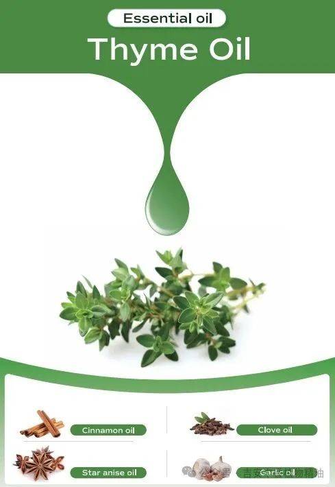 吉安中香植物精油誠邀蒞臨 2025 年馬來西亞CPHI展覽會 —— 共探天然植物提取物合作新機遇 吉安中香植物精油誠邀蒞臨 2025 年馬來西亞CPHI展覽會 —— 共探天然植物提取物合作新機遇