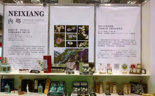 內(nèi)鄉(xiāng):“毛華菊”產(chǎn)品亮相2025年日本國際食品展覽會(huì) 內(nèi)鄉(xiāng):“毛華菊”產(chǎn)品亮相2025年日本國際食品展覽會(huì)