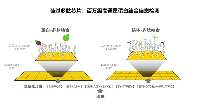 盛会邀约 | 碳云智能与您相约2025年第77届ADLM,共探IVD行业新未来 盛会邀约 | 碳云智能与您相约2025年第77届ADLM,共探IVD行业新未来