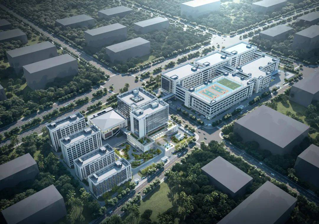 展会回顾：宝太生物美国临床实验医学博览会ADLM 2025 圆满落幕