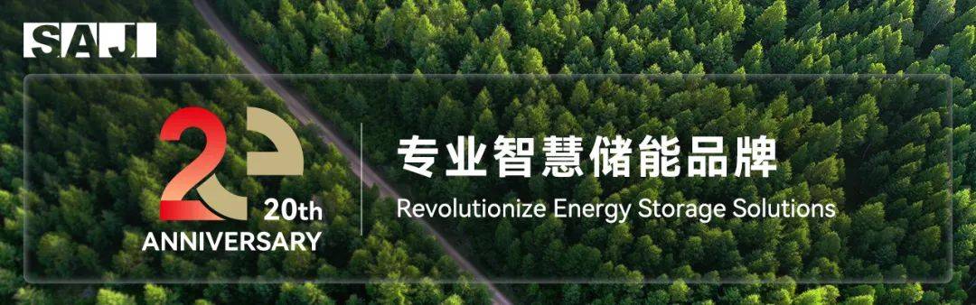 2025Intersolarչ